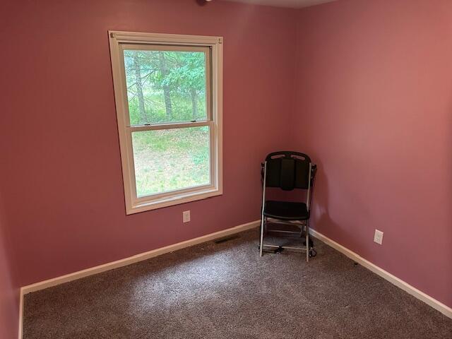 1421 Sheridan St, Baldwin, MI 49304 - photo 14