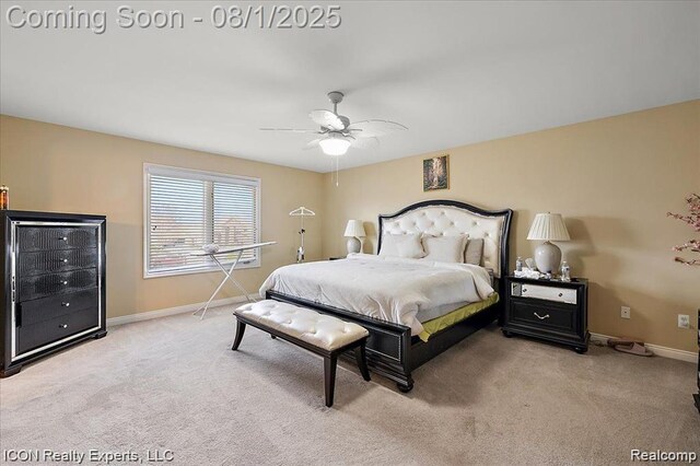 16299 Shaftesbury Ln, Macomb, MI 48044 - photo 26