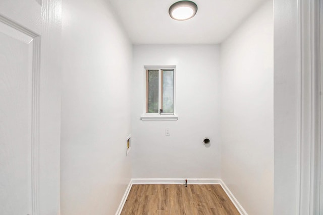 2539 Renfrew Way, Lansing, MI 48911 - photo 10