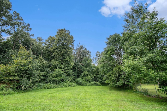 2539 Renfrew Way, Lansing, MI 48911 - photo 13