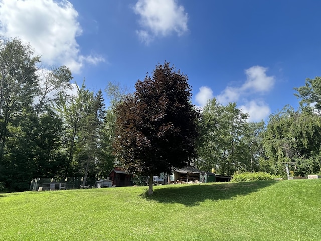 8519 Tamarack Rd, Lakeview, MI 48850 - photo 7