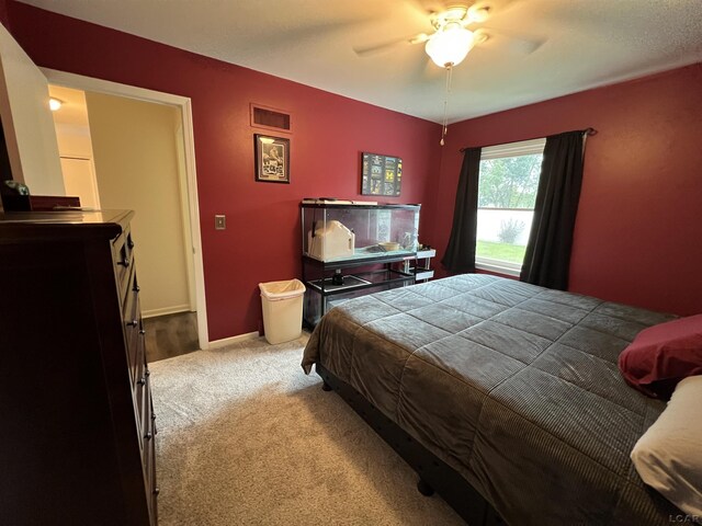 919 N Occidental Hwy, Tecumseh, MI 49286 - photo 19