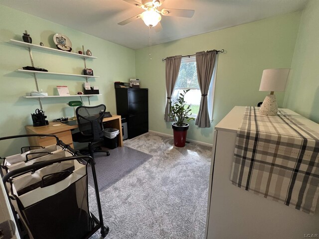 919 N Occidental Hwy, Tecumseh, MI 49286 - photo 20