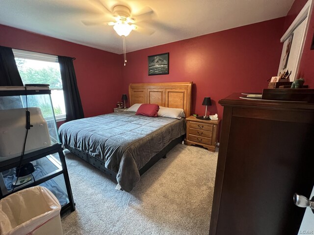 919 N Occidental Hwy, Tecumseh, MI 49286 - photo 17