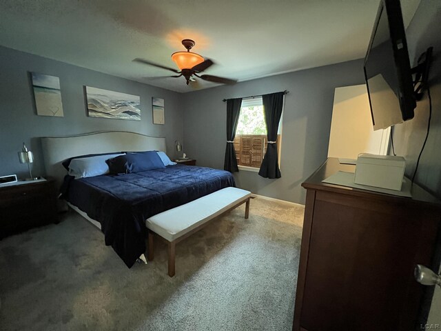 919 N Occidental Hwy, Tecumseh, MI 49286 - photo 15