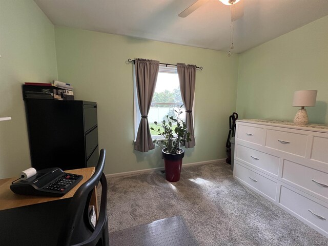 919 N Occidental Hwy, Tecumseh, MI 49286 - photo 22