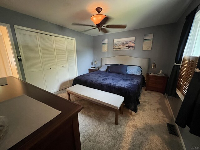 919 N Occidental Hwy, Tecumseh, MI 49286 - photo 13