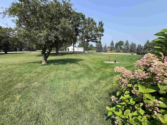 919 N Occidental Hwy, Tecumseh, MI 49286 - photo 47