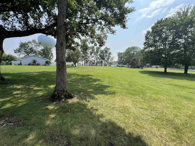 919 N Occidental Hwy, Tecumseh, MI 49286 - photo 49