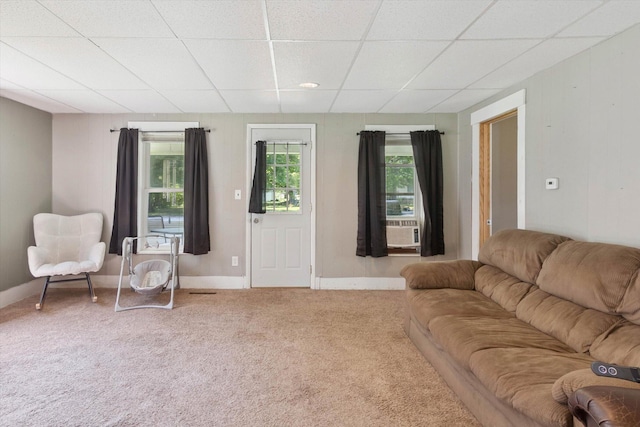 4438 Division St, Mcbride, MI 48852 - photo 10