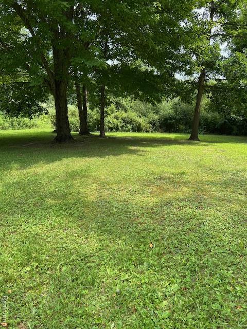8603 Fostoria Rd, Fostoria, MI 48435 - photo 5