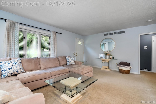 971 Tierney, Highland, MI 48356 - photo 6