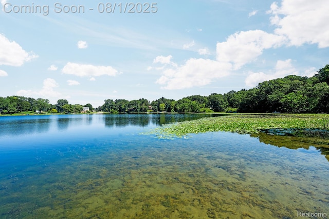 971 Tierney, Highland, MI 48356 - photo 42