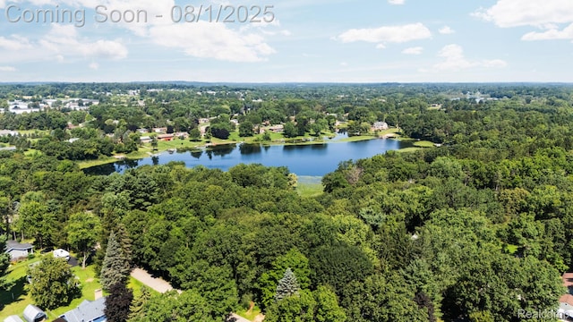 971 Tierney, Highland, MI 48356 - photo 49