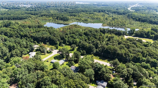 971 Tierney, Highland, MI 48356 - photo 51