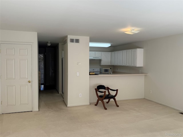 9066 Newport Way Unit 11, Livonia, MI 48150 - photo 7