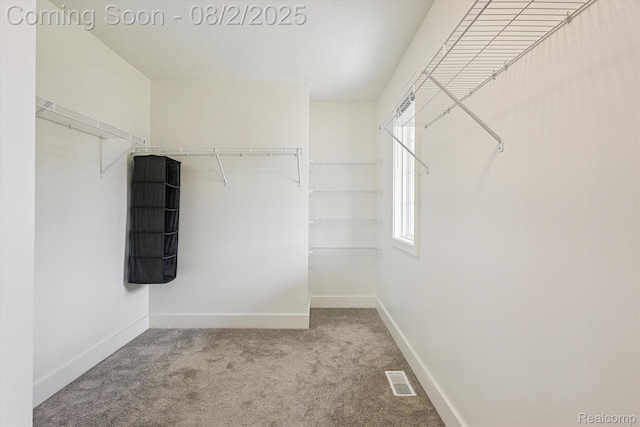 8368 Brickley St, Byron Center, MI 49315 - photo 20
