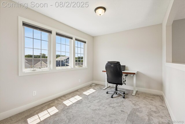 8368 Brickley St, Byron Center, MI 49315 - photo 28