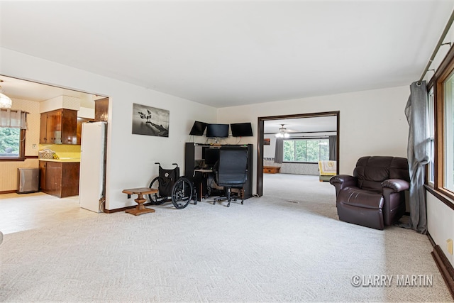 4410 56th St SW, Wyoming, MI 49418 - photo 5