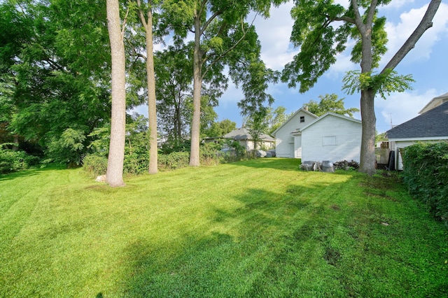 151 W Euclid Ave, Jackson, MI 49203 - photo 32