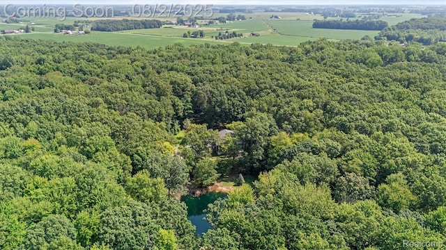 12494 Timber Ridge Trl, Ida, MI 48140 - photo 63