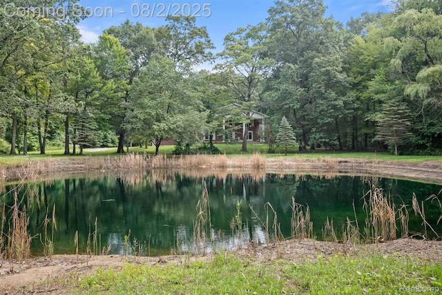 12494 Timber Ridge Trl, Ida, MI 48140 - photo 60