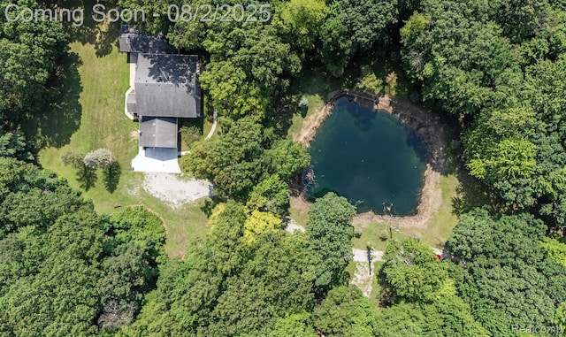 12494 Timber Ridge Trl, Ida, MI 48140 - photo 61
