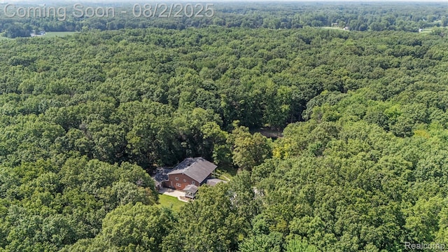 12494 Timber Ridge Trl, Ida, MI 48140 - photo 62