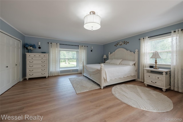 61615 Cetnor Ct, Washington, MI 48094 - photo 28