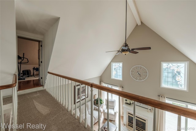 61615 Cetnor Ct, Washington, MI 48094 - photo 42