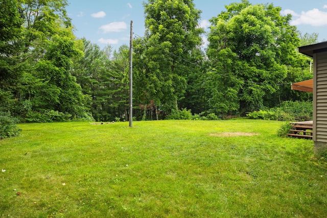 10150 SE E Torch Lake Dr, Alden, MI 49612 - photo 27