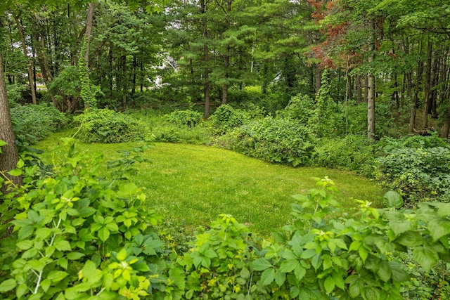 10150 SE E Torch Lake Dr, Alden, MI 49612 - photo 30