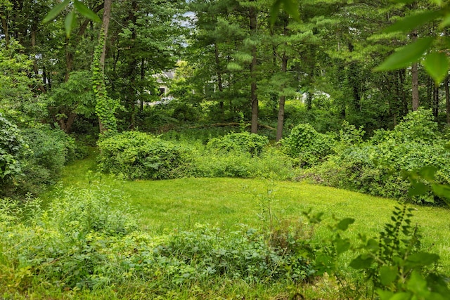 10150 SE E Torch Lake Dr, Alden, MI 49612 - photo 32