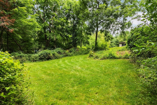 10150 SE E Torch Lake Dr, Alden, MI 49612 - photo 29
