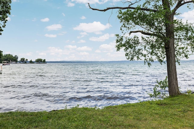 10150 SE E Torch Lake Dr, Alden, MI 49612 - photo 35