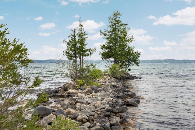 10150 SE E Torch Lake Dr, Alden, MI 49612 - photo 33