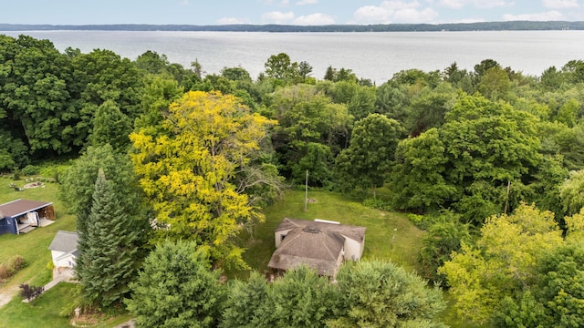 10150 SE E Torch Lake Dr, Alden, MI 49612 - photo 43