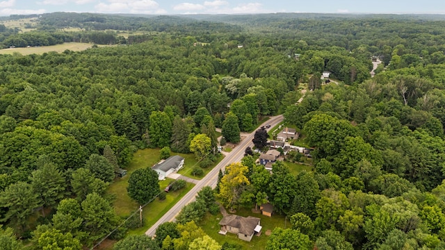 10150 SE E Torch Lake Dr, Alden, MI 49612 - photo 45