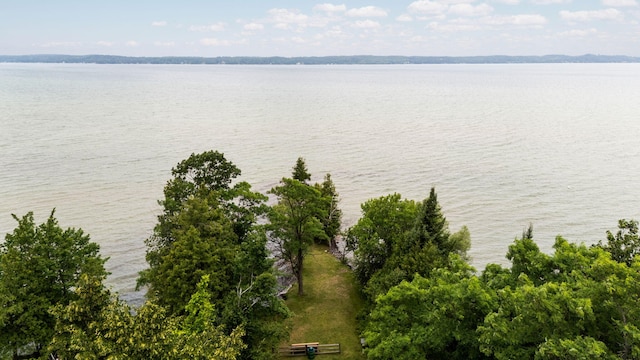 10150 SE E Torch Lake Dr, Alden, MI 49612 - photo 37