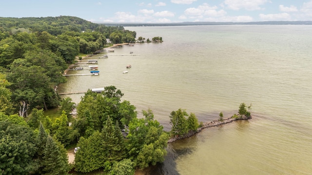 10150 SE E Torch Lake Dr, Alden, MI 49612 - photo 36