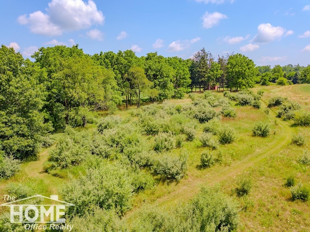 4818 Colby Rd, Owosso, MI 48867 - photo 5