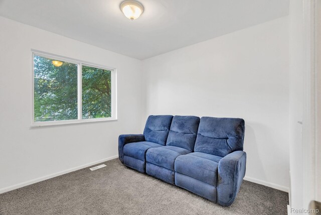 208 6th St, Fenton, MI 48430 - photo 13