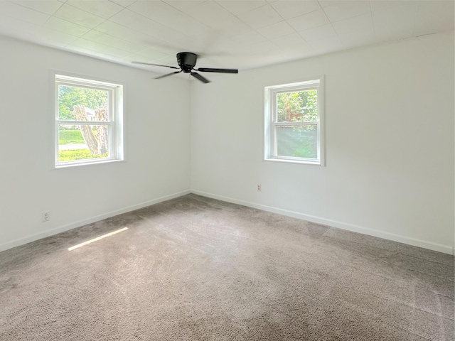 1825 Junction Ave, Kalamazoo, MI 49048 - photo 12