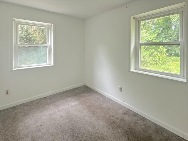 1825 Junction Ave, Kalamazoo, MI 49048 - photo 15