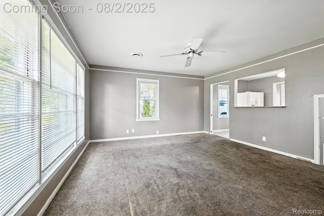 35600 Glen St, Westland, MI 48186 - photo 15