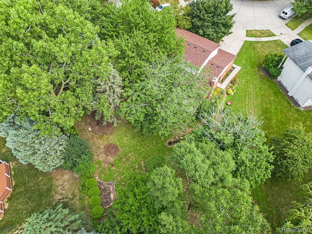 1079 Snead Dr, Troy, MI 48085 - photo 30