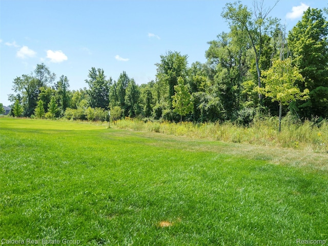4132 Walcott Dr, Lake Orion, MI 48359 - photo 59