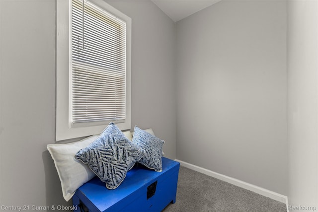 4702 Field St, Detroit, MI 48214 - photo 22