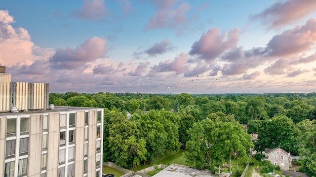 715 W Michigan Ave Unit 809, Jackson, MI 49201 - photo 2