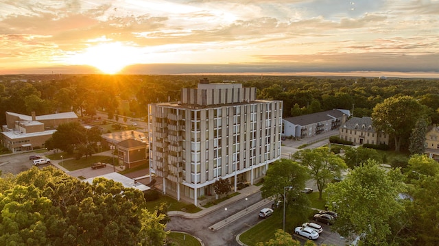 715 W Michigan Ave Unit 809, Jackson, MI 49201 - photo 6